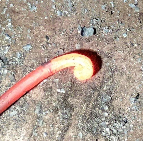 The Chain-y Hook: Radical Innovation - Image 11