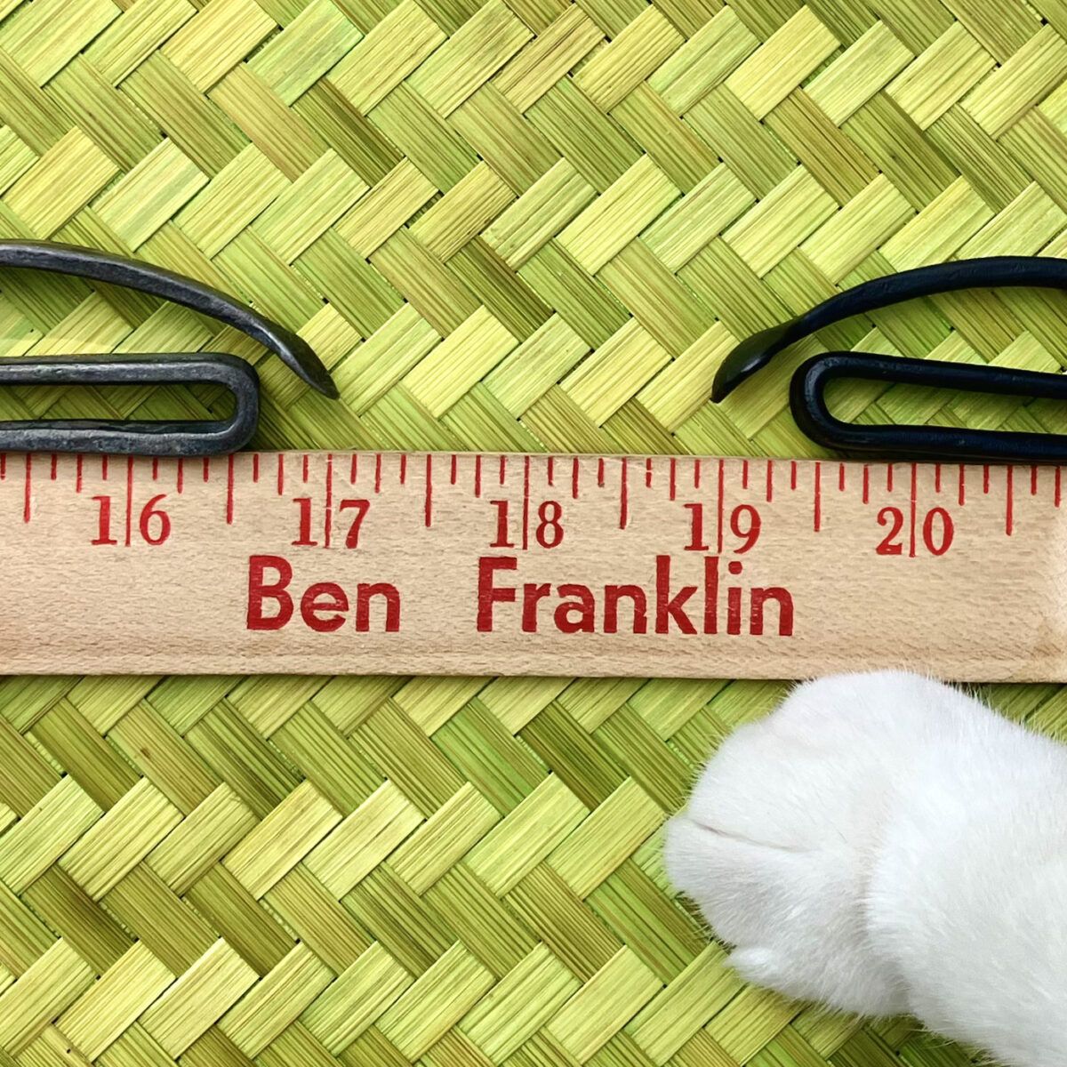 The Doohickey. The What? - Image 2