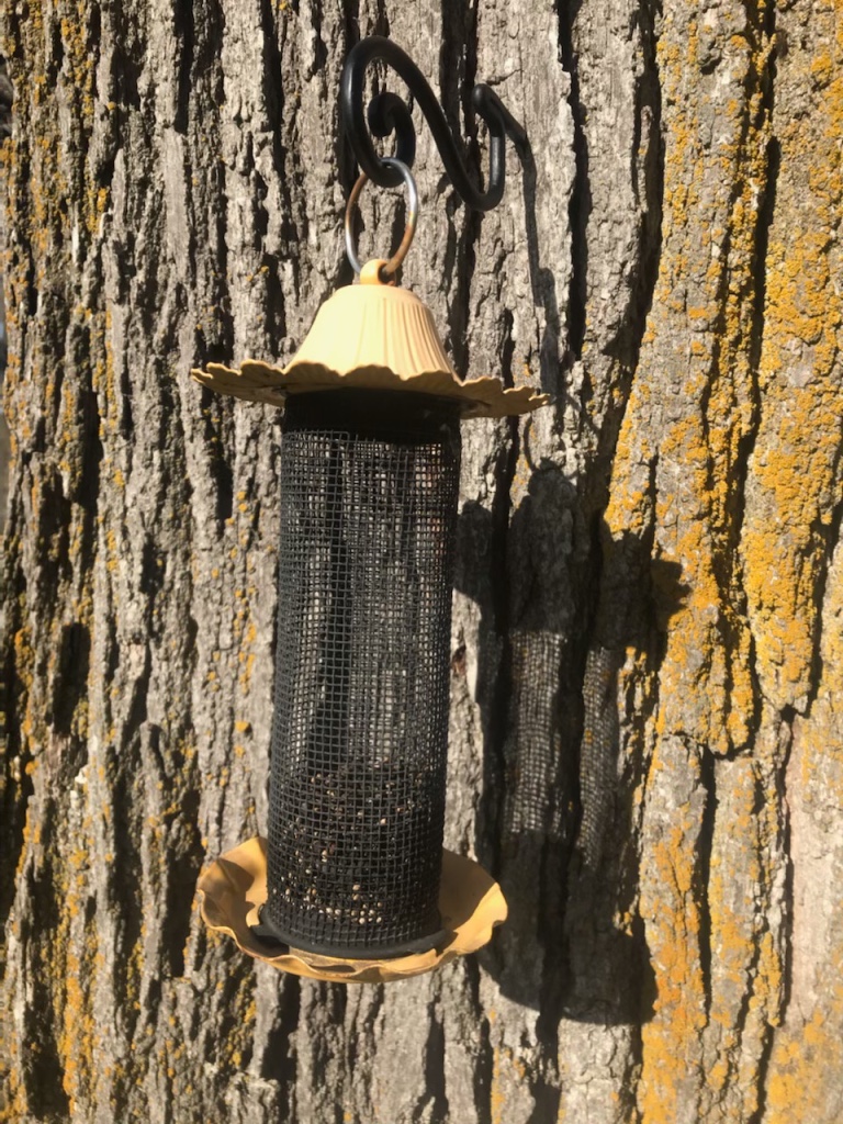 The Screw In Spiral for Beauty's Sake - Image 5